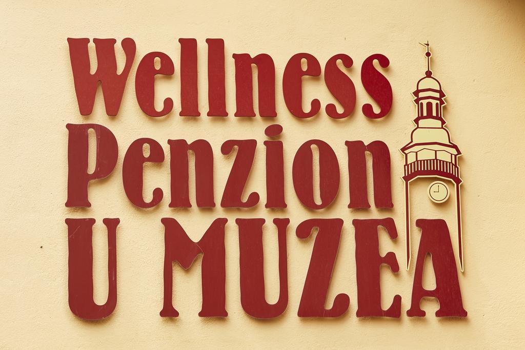 Wellness Penzion U Muzea Liberec Extérieur photo